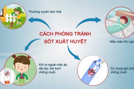 CHỦ ĐỘNG PHÒNG BỆNH SỐT XUẤT HUYẾT TRONG ĐẠI DỊCH COVID-19