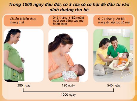 Chế độ dinh dưỡng giúp trẻ phát triển chiều cao trong 1000 ngày đầu đời