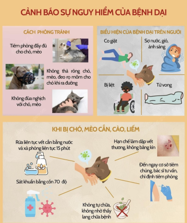 Phòng chống bệnh dại