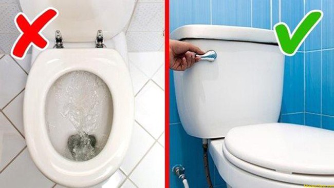 Lưu ý khi sử dụng nhà vệ sinh để tránh nhiễm khuẩn