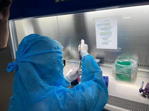 Sáng ngày 29/11 Nghệ An ghi nhận 52 ca dương tính mới với COVID-19, trong đó có 03 ca cộng đồng và 49 ca đã được cách ly từ trước