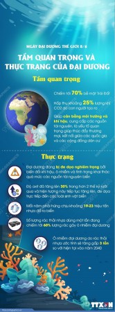 Ngày Đại dương thế giới 8/6: Tầm quan trọng và thực trạng của đại dương