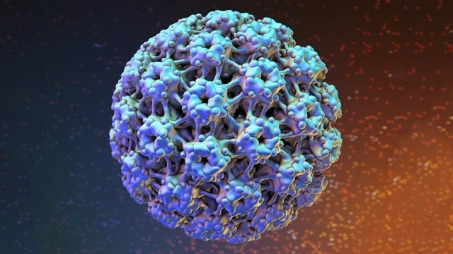 Virus HPV là gì? Con đường lây nhiễm HPV và những biểu hiện