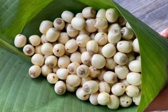 Việt Nam có loại hạt là "thuốc quý" cho tim