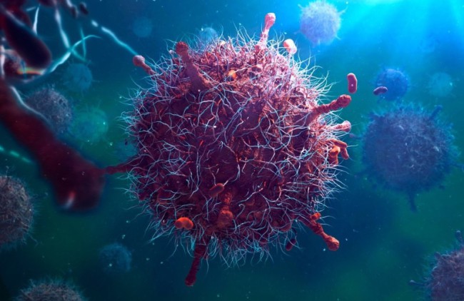 Bệnh Prion: Hiểm họa âm thầm đối với con người và động vật