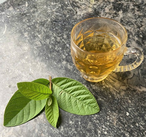 Khám phá 6 lợi ích tuyệt vời của nước lá ổi