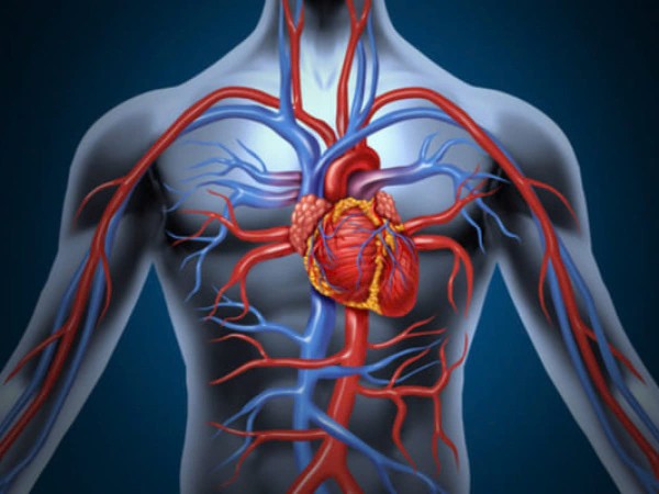 Hội chứng Eisenmenger và dinh dưỡng