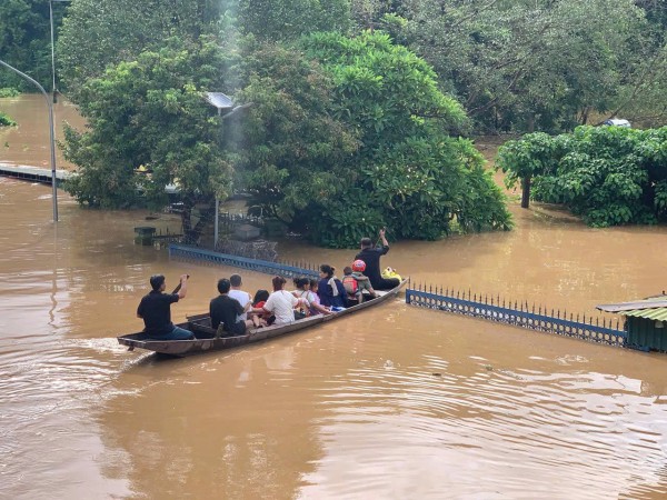 Đặc điểm bệnh dịch tả lợn Châu Phi và ảnh hưởng của bệnh tới sức khỏe con người