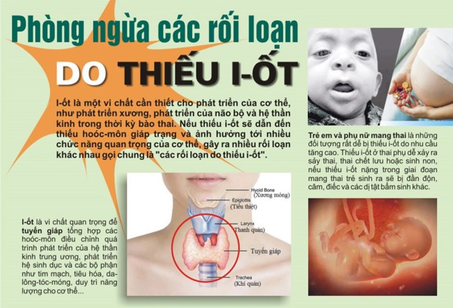 Hưởng ứng Ngày Toàn dân mua và sử dụng muối I-ốt (02/11/2025)