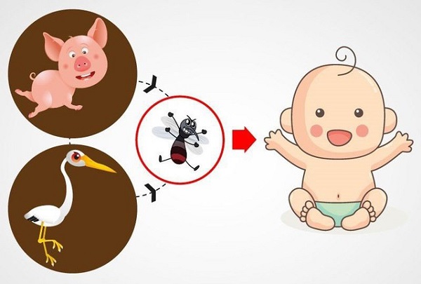 Đường lây truyền bệnh VNNB